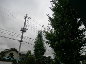 P9230302.JPG